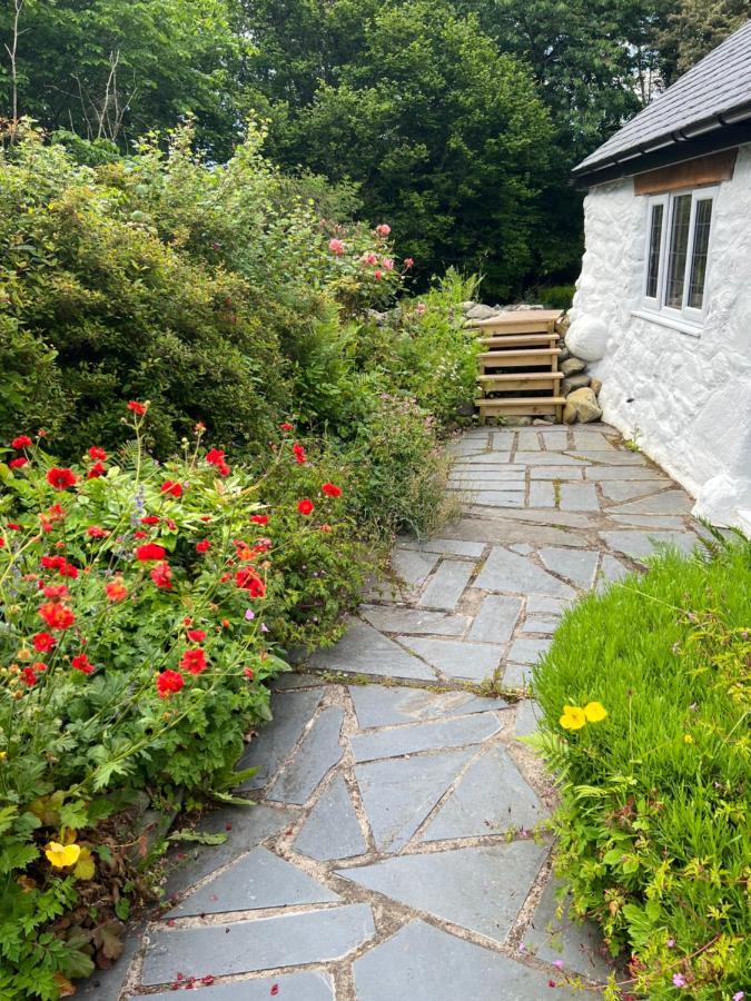 Beautiful Ancient Stone Cottage, Local Walks & Pub! Conwy Esterno foto