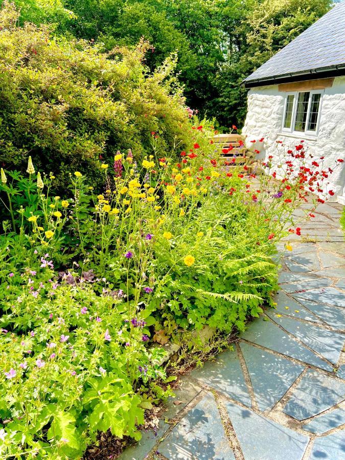 Beautiful Ancient Stone Cottage, Local Walks & Pub! Conwy Esterno foto