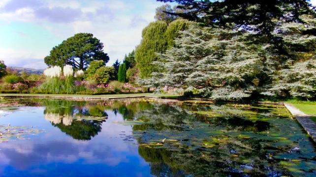 Beautiful Ancient Stone Cottage, Local Walks & Pub! Conwy Esterno foto